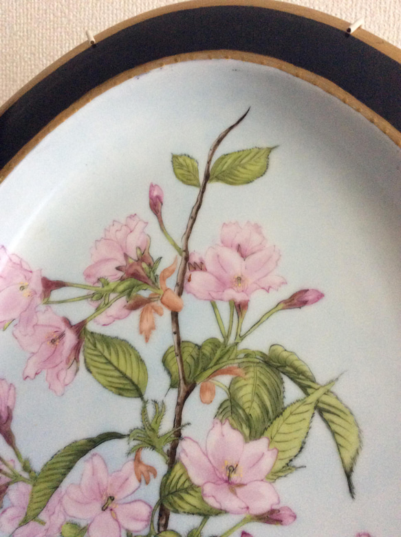 桜の花の絵皿 2枚目の画像