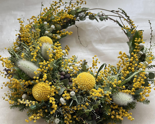 ミモザリース　ミモザ　ドライフラワーリース acf9a91aec7a5157386d7d99236371