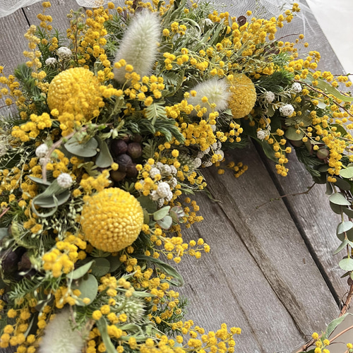 リース(ミモザの三日月リース) / ドライフラワー　リース　三日月リース　ミモザ リース(ミモザの三日月リースS) / ドライフラワー ミモザ 三日月リース