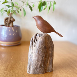 飛騨の木鳥(ことり) 大 ウォルナット 1枚目の画像