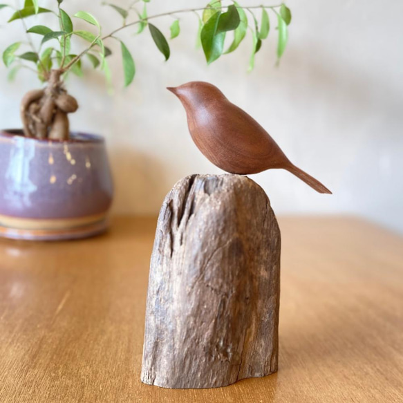 飛騨の木鳥(ことり) 大 ウォルナット その他置物 node 通販