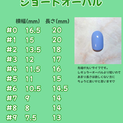 うるうるネイル　韓国ネイル　オーロラ　ブルー　ちょうちょ　ハート　ストーン　ネイルチップ　fluffylennon 4枚目の画像