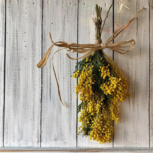 スワッグ(ミモザ) / スワッグ　花束　ドライフラワー　ミモザ ドライフラワー スワッグ ミモザ 花束 プレゼント プリザーブド