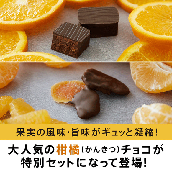 ひとくち柑橘チョコレート食べ比べセット｜植物油脂不使用 不知火フルーツチョコレート 自分へのご褒美 バレンタイン 1枚目の画像