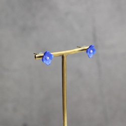  第8張的照片