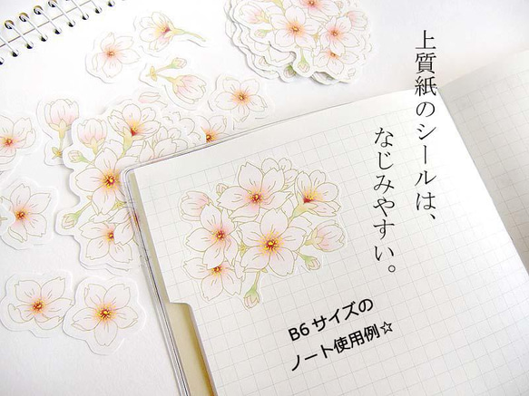 【上質紙】ふんわり桜のフレークシール☆48枚入り 3枚目の画像