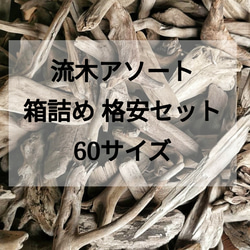 送料無料】南信州産 天然枝幹流木（180〜200cm前後）長い流木 3本