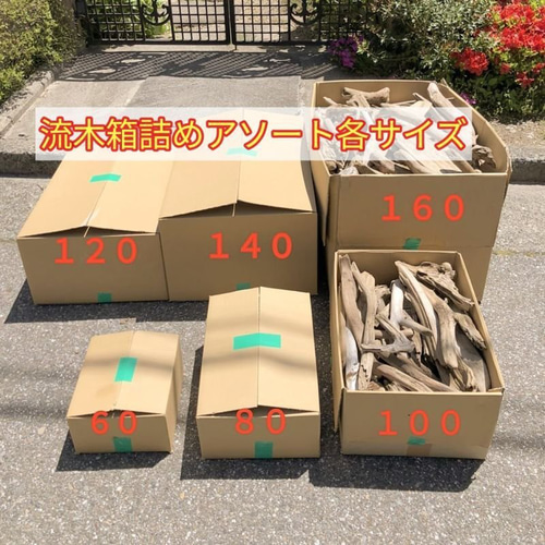 送料込●天然流木●内容おまかせ格安の箱セット 【１４０サイズ】 送料無料】天然流木 おまかせアソート箱詰めお得 格安セット