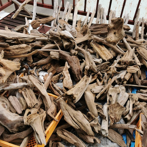 送料込●天然流木●内容おまかせ格安の箱セット 【１４０サイズ】 送料無料】天然流木 おまかせアソート箱詰めお得 格安セット