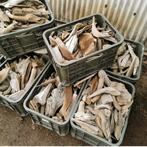 送料込●天然流木●内容おまかせ格安の箱セット 【１４０サイズ】 送料無料】天然流木 おまかせアソート箱詰めお得 格安セット