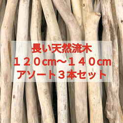 流木 送料無料○南信州アルプス天然流木 枝流木 10本 格安アソート