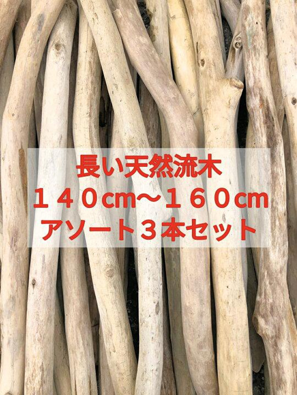 送料無料●（１４０cm〜１６０cm前後）南信州産 枝幹 長い流木 天然流木 格安アソート ３本セット 1枚目の画像