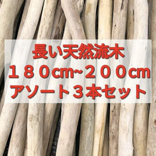 送料無料○南信州 アルプス天然流木 長い枝流木 アソート販売 180cm 