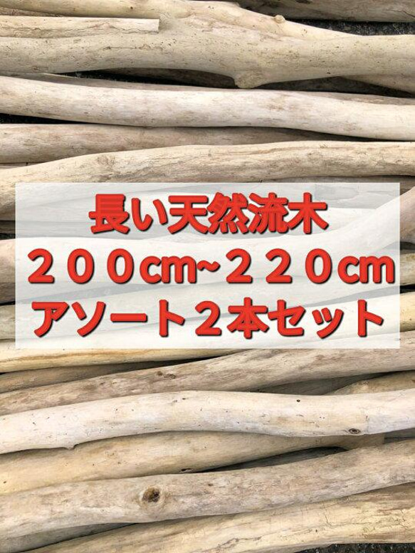 送料無料●（２００cm〜２２０cm前後）南信州産 枝幹 長い流木 天然流木 格安アソート ２本セット 1枚目の画像