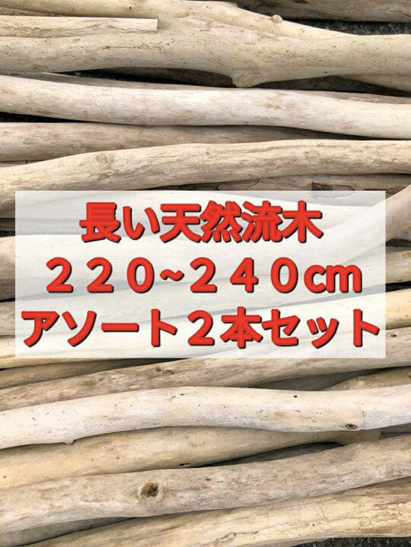 送料無料●（２２０cm〜２４０cm前後）南信州産 枝幹 長い流木 天然流木 格安アソート ２本セット 1枚目の画像