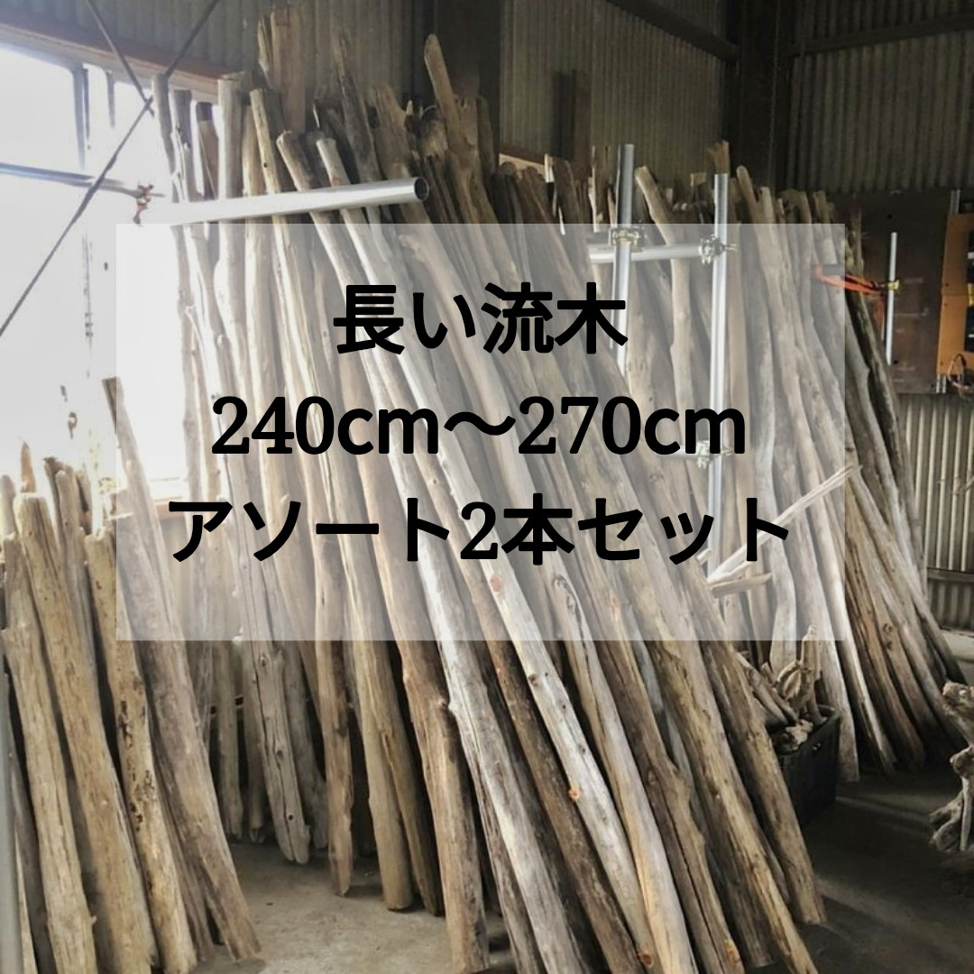 【送料無料】まがり屋流木 南信州 天然流木 長い枝流木 【240〜270cm】 アソート 3本セット｜2m以上の流木