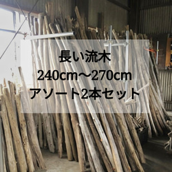 送料無料】まがり屋流木 南信州 天然流木 長い枝流木 【240〜270cm