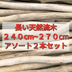 送料無料●（２４０cm〜２７０cm前後）南信州産 枝幹 長い流木 天然流木 格安アソート ２本セット 1枚目の画像