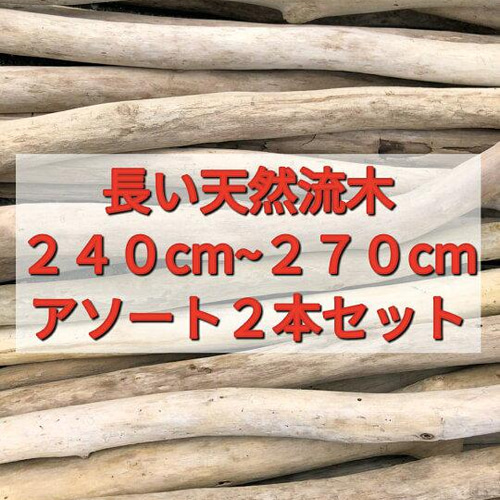 流木2本セット Amazon | 45cm水槽用 流木3本セット（黒色）【AQUASHOP
