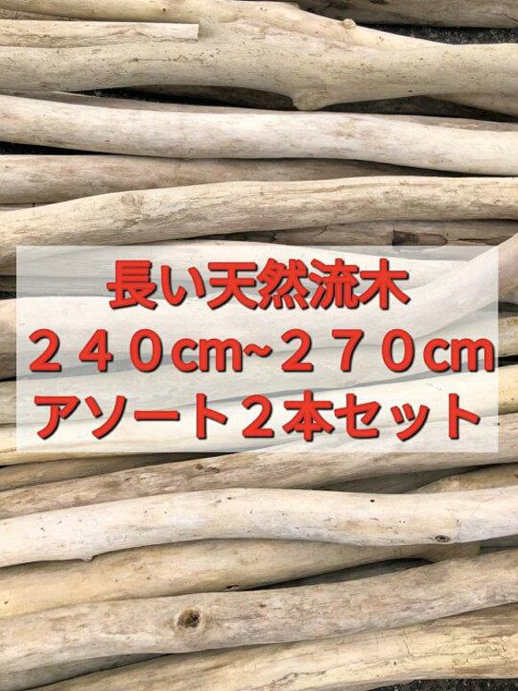 送料無料●（２４０cm〜２７０cm前後）南信州産 枝幹 長い流木 天然流木 格安アソート ２本セット 1枚目の画像