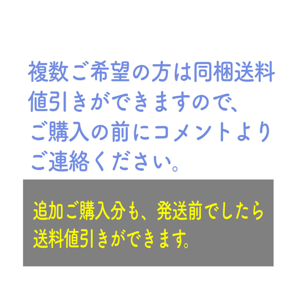 白蛇抜け殻入り＊セブンチャクラのオルゴナイト 6枚目の画像