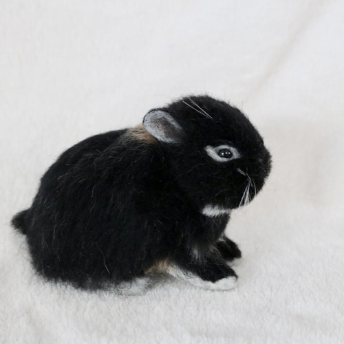 sold羊毛フェルト おめめが半開きなベビーうさぎさん ネザーランド