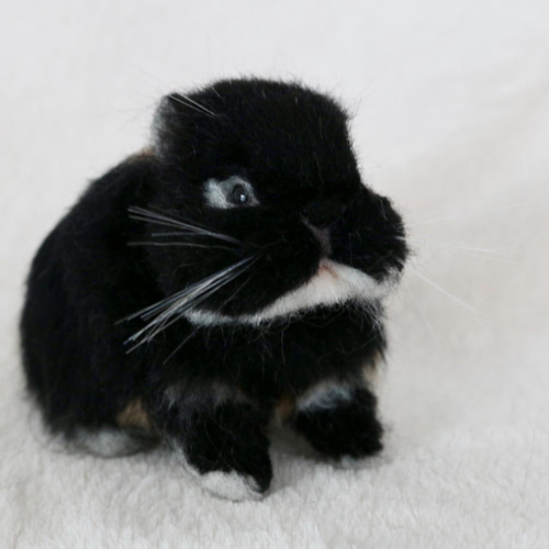 sold羊毛フェルト おめめが半開きなベビーうさぎさん ネザーランド