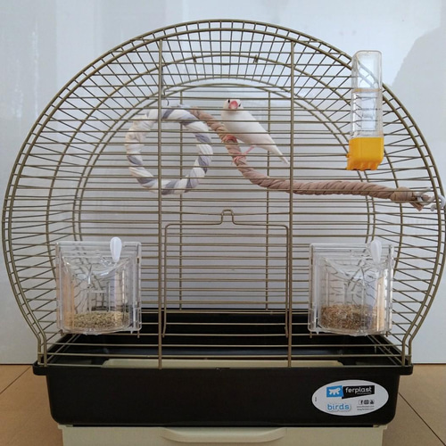 マシュロープ Mサイズ 38cm《シナモン》 布 ロープパーチ