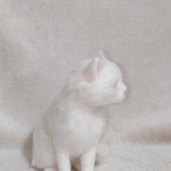 羊毛フェルトでできた、ふわふわ毛並みの白猫ちゃん 8枚目の画像
