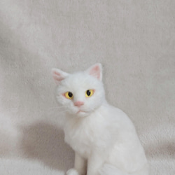 オッドアイの三毛猫!?ジャパニーズボブテイル風の羊毛猫ちゃん!! 羊毛