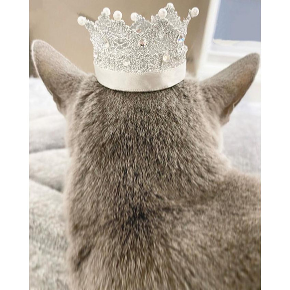 ペットの王冠 　シルバーレースの王冠　お誕生日、うちの子記念日に！　ねこ様王冠　いぬ様王冠 1枚目の画像