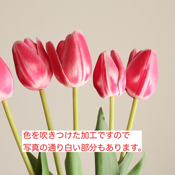 《ずっと咲いてる》赤いチューリップ＆スイートピーのマジカルウォーターアレンジ（無料ギフトラッピング） 5枚目の画像