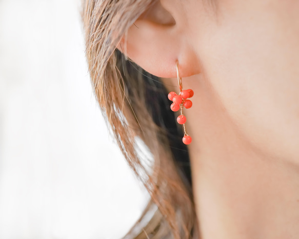 國產紅珊瑚穿孔耳環/14kgf包金 第5張的照片