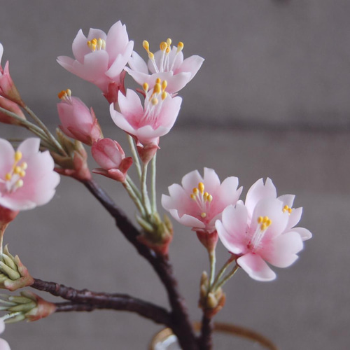 ◇粘土のお花◇ 桜 一輪挿し オルリム・シングルベース S641 ◇粘土のお花◇ 桜 一輪挿し オルリム・シングルベース S641