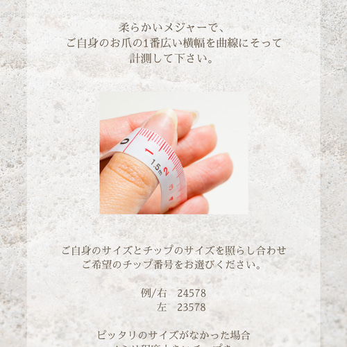 ネイルチップ】オーダーネイルチップ ネイルチップ（つけ爪