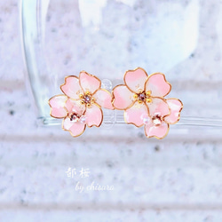 ❀都桜❀ノンホールピアス 1枚目の画像