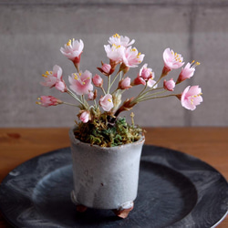 ◆粘土のお花◆　桜盆栽　S644 4枚目の画像