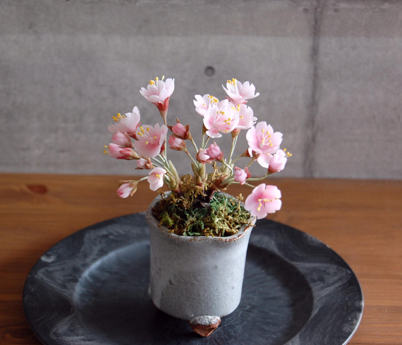 ◆粘土のお花◆　桜盆栽　S644 7枚目の画像