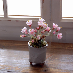 ◆粘土のお花◆　桜盆栽　S644 1枚目の画像