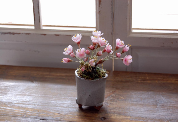 ◆粘土のお花◆　桜盆栽　S644 1枚目の画像