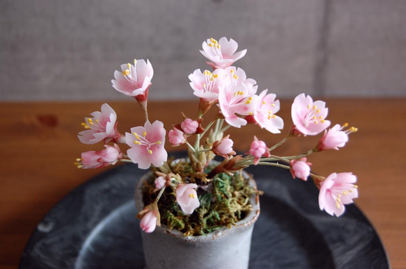 ◆粘土のお花◆　桜盆栽　S644 10枚目の画像