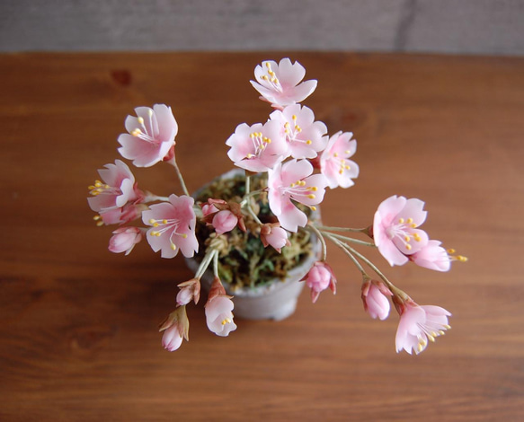 ◆粘土のお花◆　桜盆栽　S644 12枚目の画像