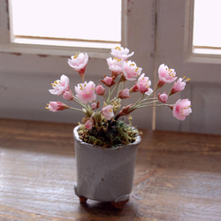 ◆粘土のお花◆　桜盆栽　S644 2枚目の画像