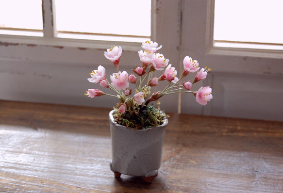◆粘土のお花◆　桜盆栽　S644 2枚目の画像