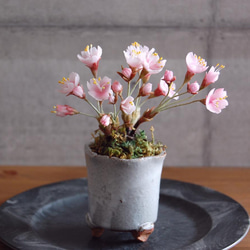 ◆粘土のお花◆　桜盆栽　S644 5枚目の画像