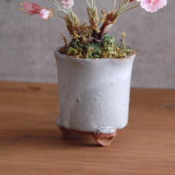 ◆粘土のお花◆　桜盆栽　S644 13枚目の画像