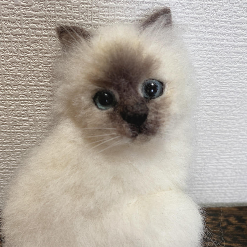 羊毛フェルト バーマン猫 ブローチ ブローチ ♡Gatto Libero♡まうねこ