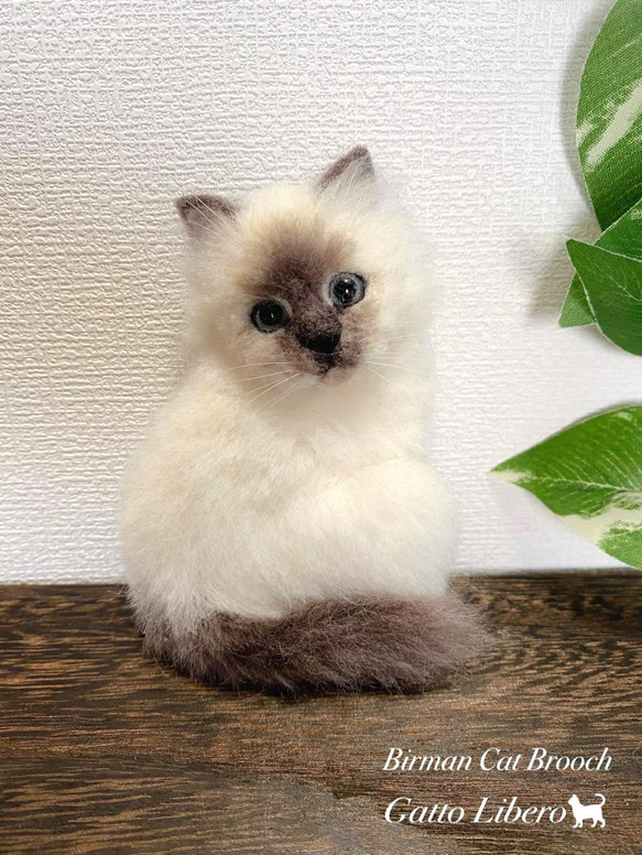 羊毛フェルト猫 バーマン猫ブローチ 羊毛フェルト バーマン猫 ブローチ ブローチ ♡Gatto Libero