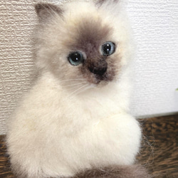 羊毛フェルト バーマン猫 ブローチ 4枚目の画像