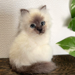 羊毛フェルト バーマン猫 ブローチ 2枚目の画像